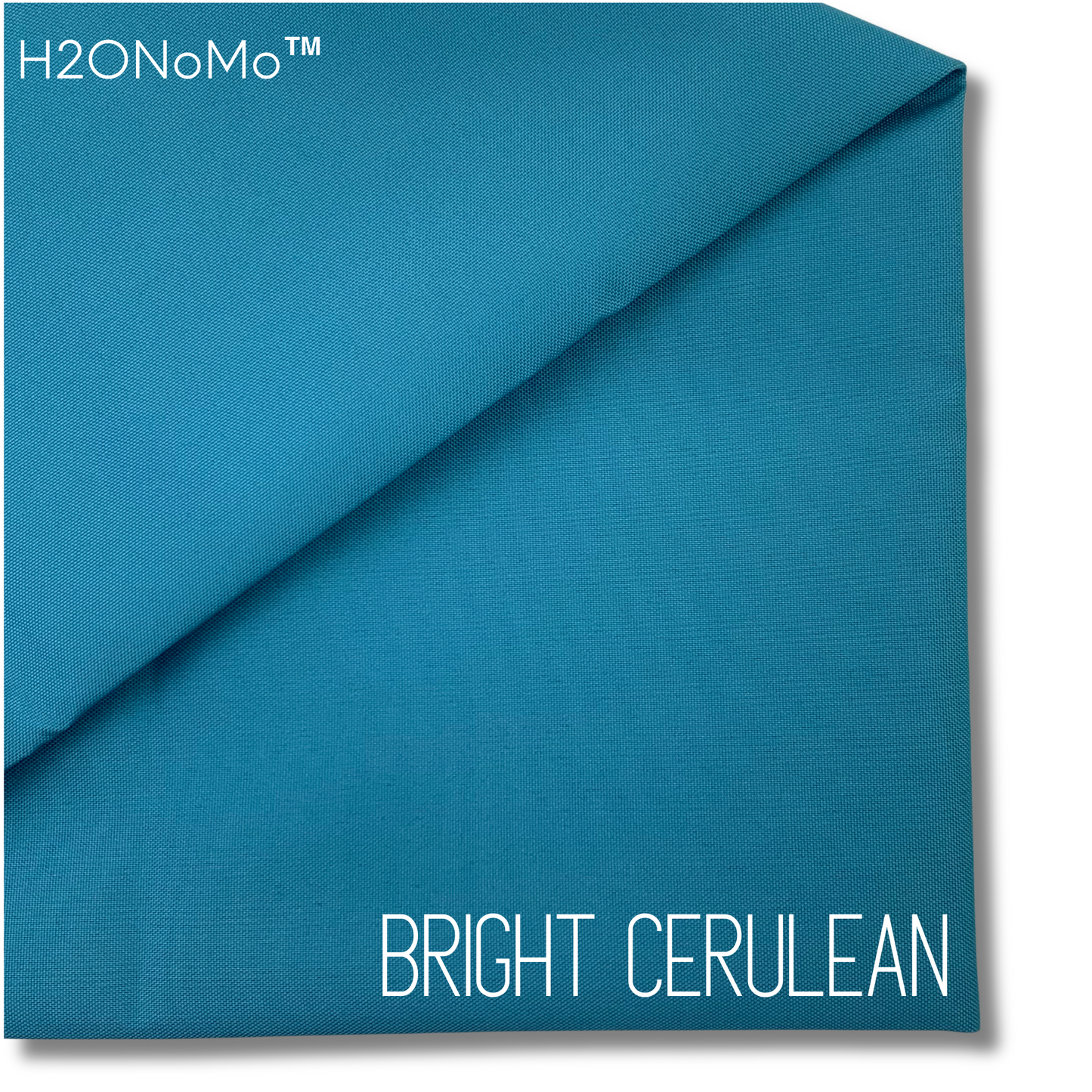 BRIGHT CERULEAN Solid Color H2ONoMo™ Water Resistant Canvas